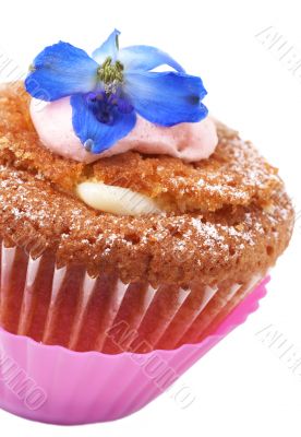 Miniature cupcake with meringue