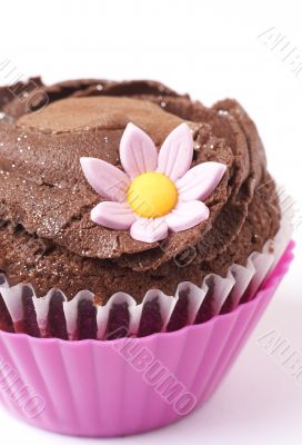 Miniature chocolate cupcake with flower