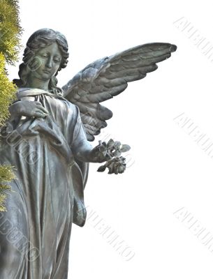 angel angel