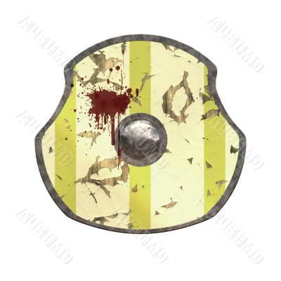 viking shield