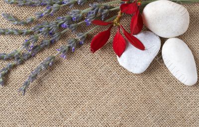 Beautiful lavender and pebbles