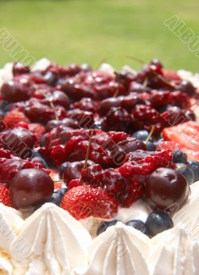 Meringue pavlova cake with berries Meringue pavlova cake with berries