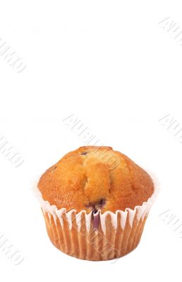 Blueberry muffin on white Blueberry muffin on white