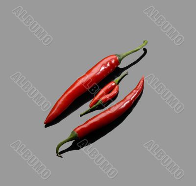 red chili peppers
