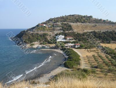 View of sea bay and orchard on the land