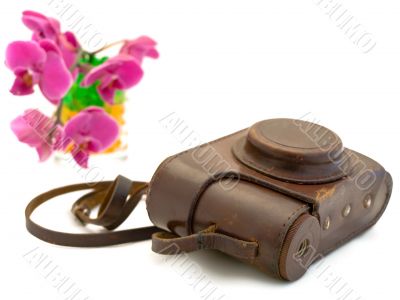 old photocamera  accessories and pink orchid
