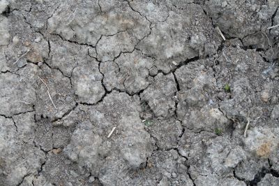Texture of soil Texture of soil