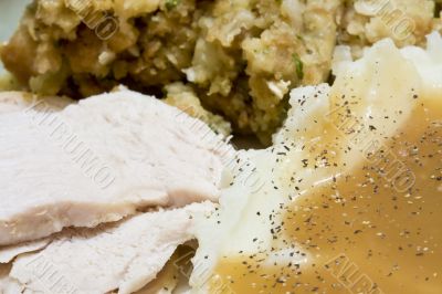 turkey turkey