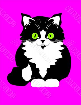kat_001 kat_001