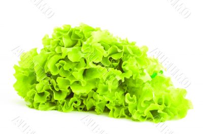 lettuce