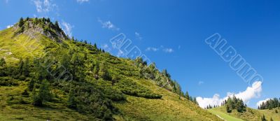 Lush green hill in bright summer day in Alps