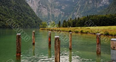 Green water and wooden mooring posts at lake