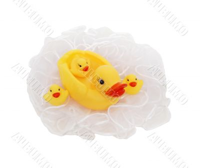 Rubber duckie and babies