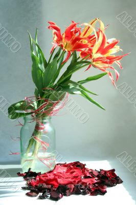 tulips