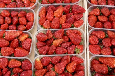 Strawberries in the bowl Strawberries in the bowl