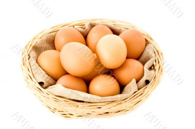 eggs on the white eggs on the white