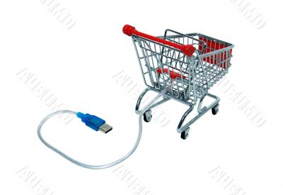 Online shopping checkout cart