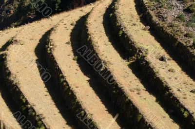 Inca ruins in Pisac