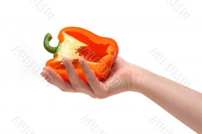 Cut bulgarian pepper on palm