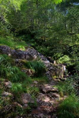 Scotland nature for walkers