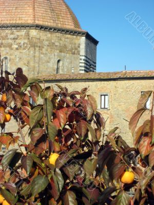 medieval italian village