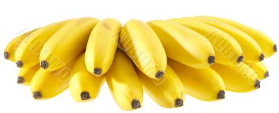 Bunch of Bananas