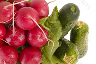 Different fresh tasty vegetables