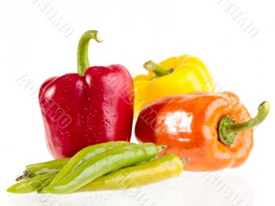 wet peppers on white wet background