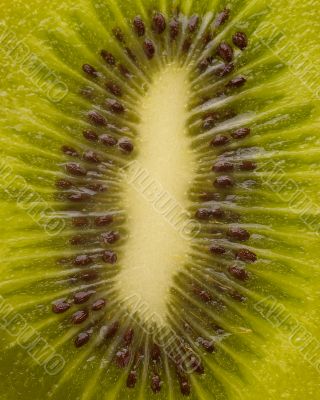 Kiwi texture