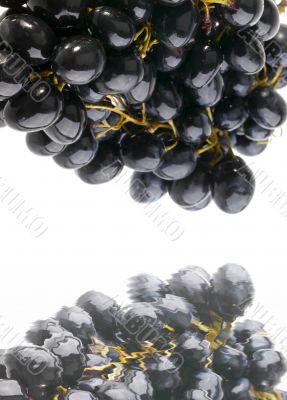 wet grape under the water