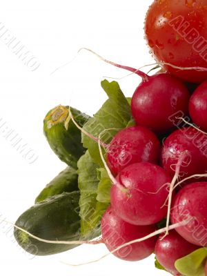 Different fresh tasty vegetables