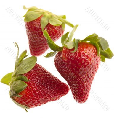 strawberry on white background
