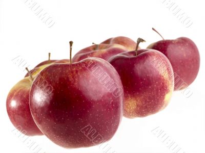 red apples on wite with clipping path