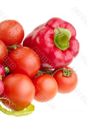 Different fresh tasty vegetables