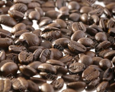 coffee beans. closeup