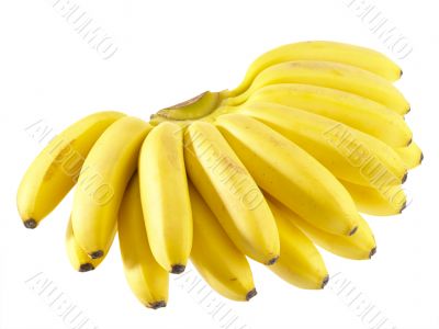 Bunch of Bananas