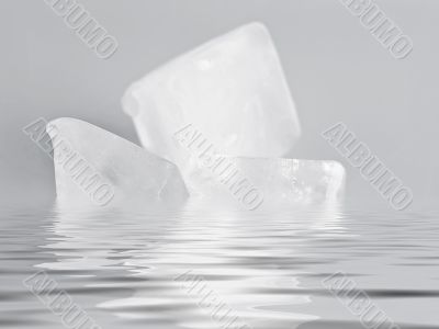 ice cube on the water
