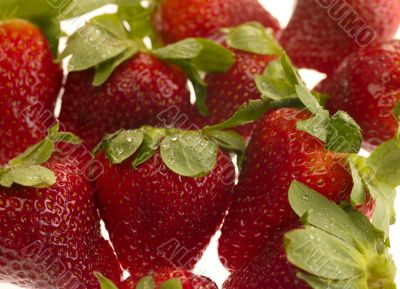 strawberry on white background