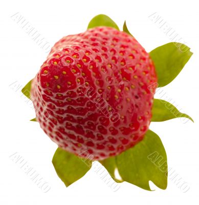 strawberry on white background