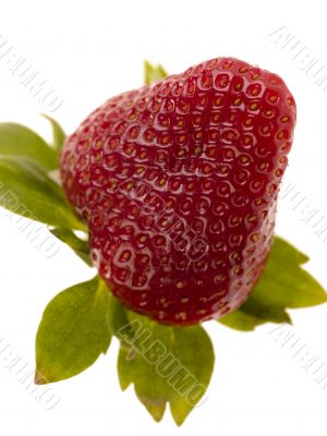 strawberry on white background