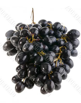wet grape on white