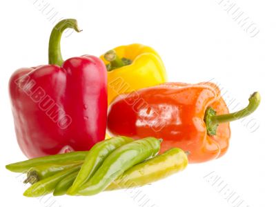 Different fresh tasty peppers on white wet background
