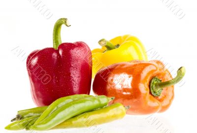 Different fresh tasty peppers on white wet background