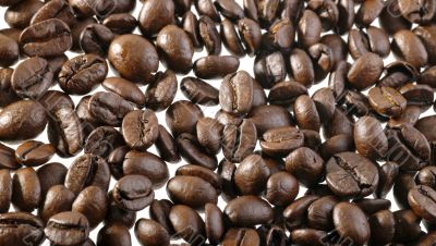 coffee beans