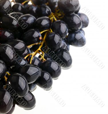grape on white  background