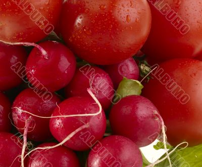 Different fresh tasty vegetables