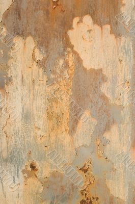 grunge background