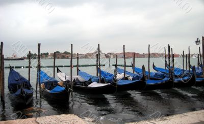 gondolas in Venice