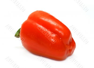 Orange bulgarian pepper part four