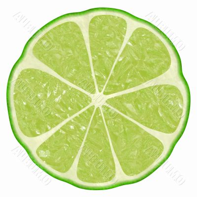 unusual citrus unusual citrus